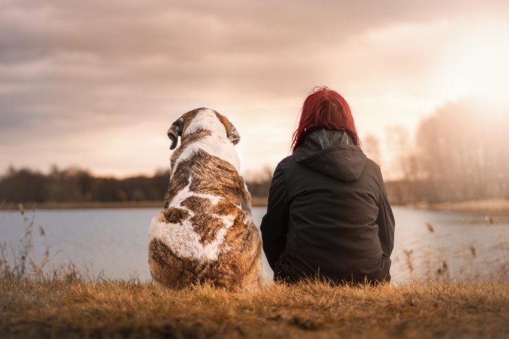 cane con padrona in riva al lago