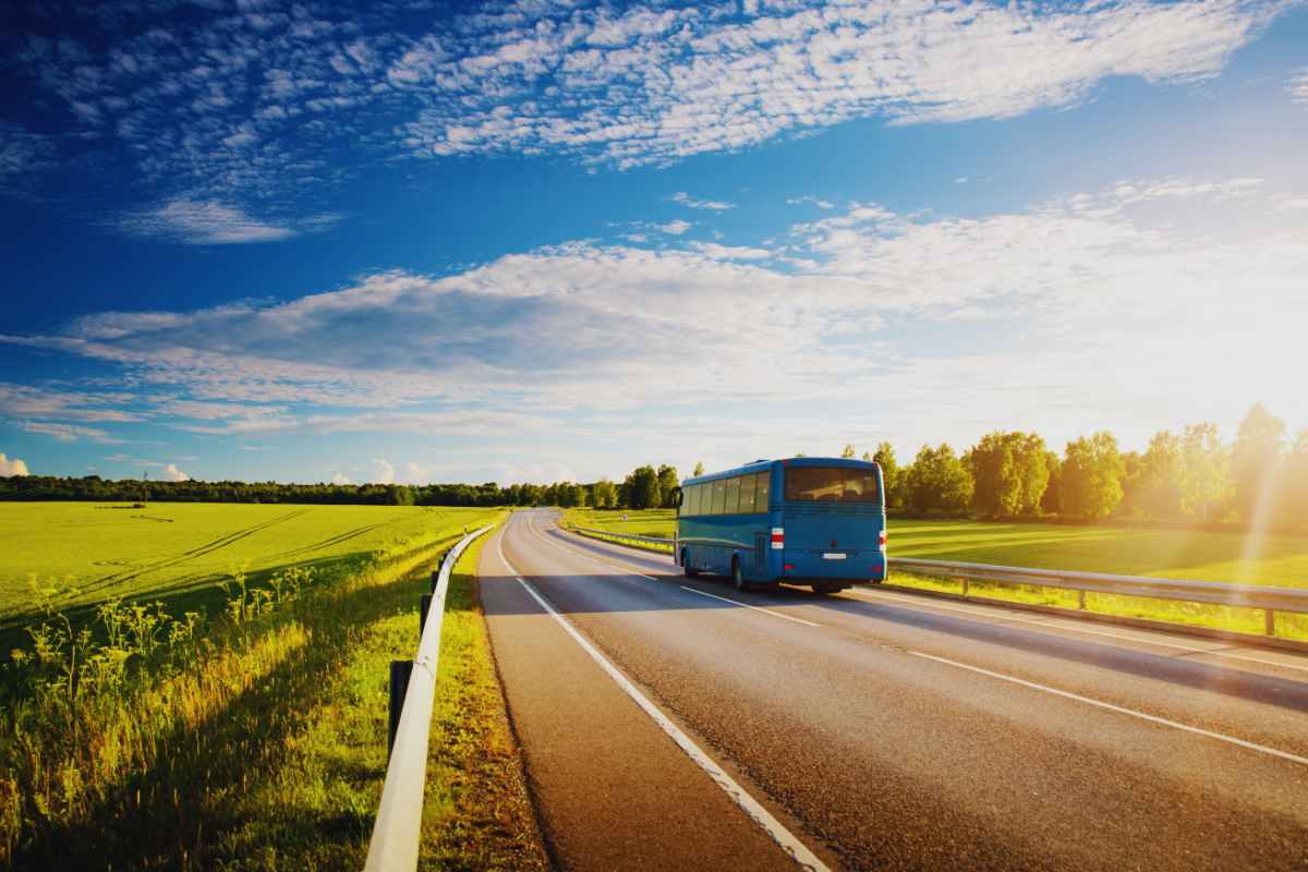 bus in mezzo alla natura