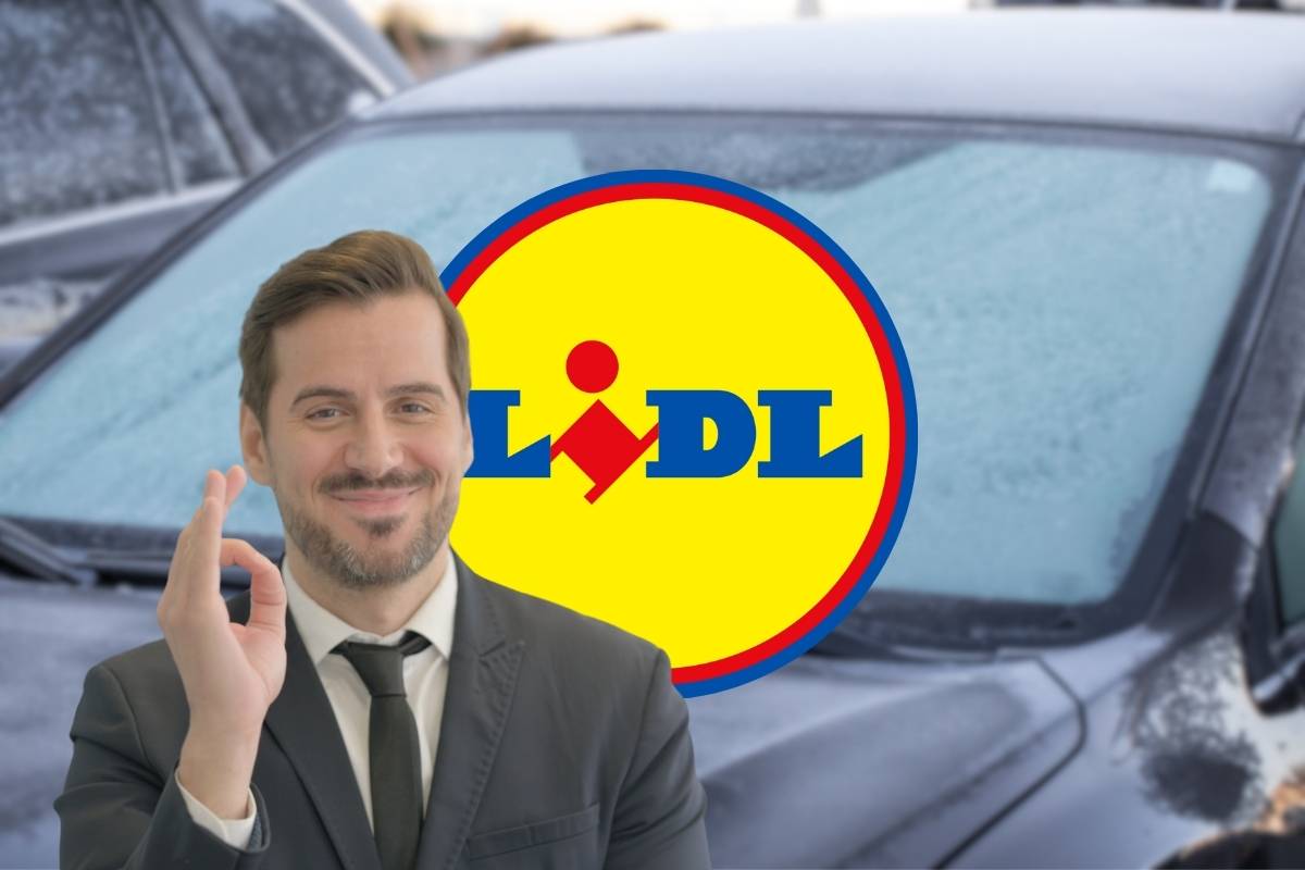 auto, logo lidl e uomo