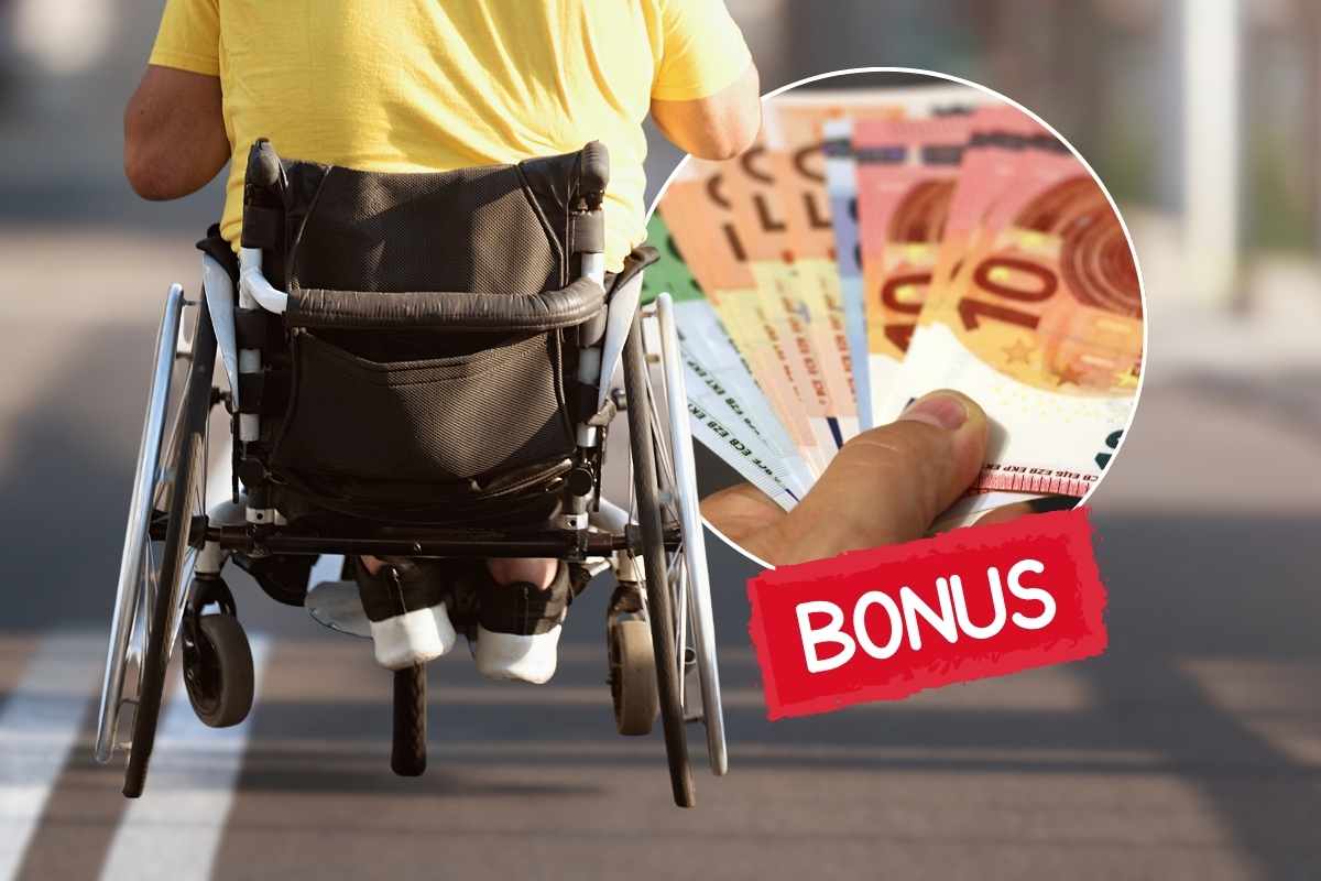 persona sulla sedia a rotelle, soldi e bonus