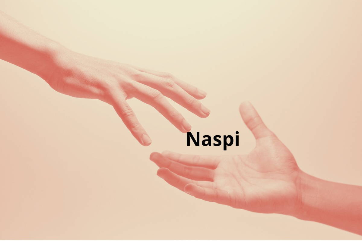 concetto di Naspi