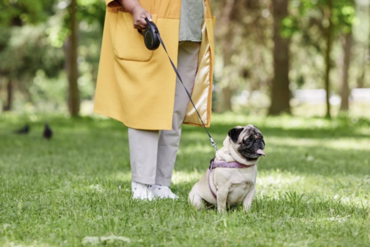 Signora con cane carlino al guinzaglio